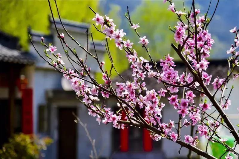 ����ͻ��(�й�)���޹�˾����