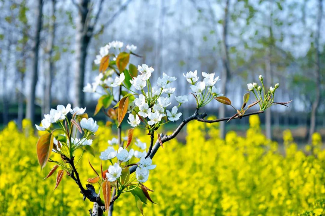 ����ͻ�ƾ���