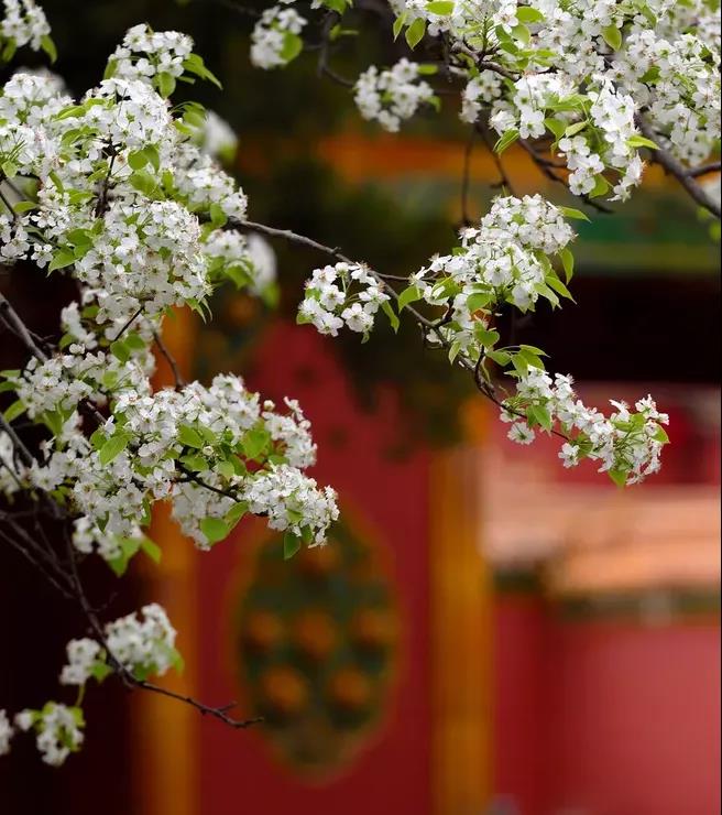 ����ͻ��(�й�)���޹�˾����