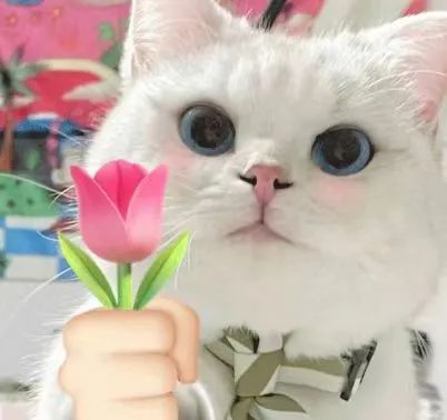 ����ͻ��(�й�)���޹�˾����